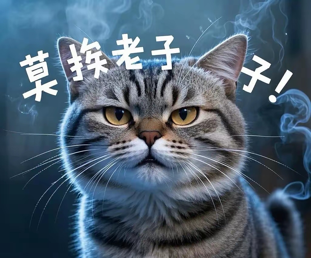 关于山猫不敌对手，士气低迷状态神秘的信息